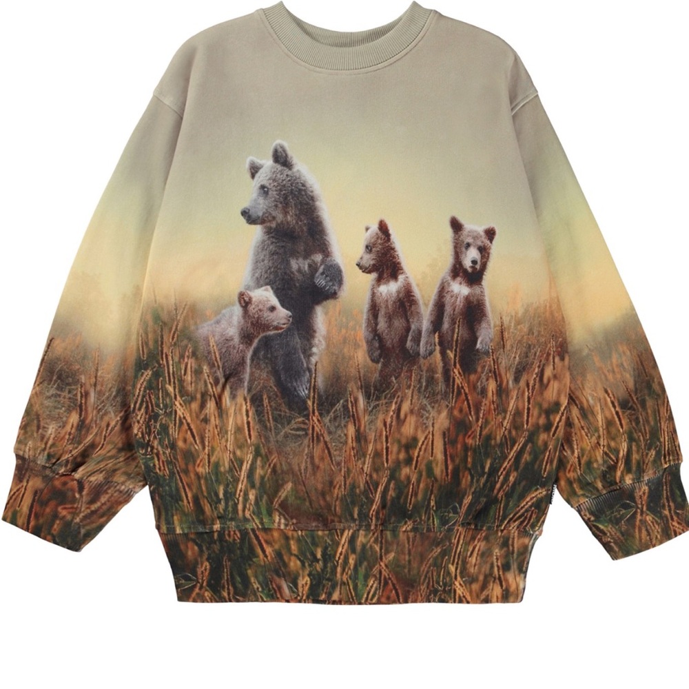 Molo Bear Life Sweatshirt 🐻